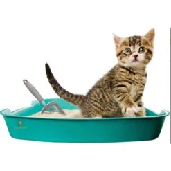 SunGrow Non-Stick Metal Scoop Kitty Box Cat Litter Scooper -Mewhaus Shop 179562 PT2. AC SS1800 V1561406825