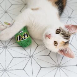 Mad Cat Cool Cucumber Catnip & Silvervine Cat Toy -Mewhaus Shop 181814 PT5. AC SS1800 V1637641598