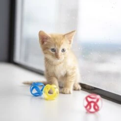 JW Pet Cat Crazies Cat Toy -Mewhaus Shop 182739 PT2. AC SS1800 V1602327670