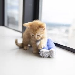 JW Pet Kitty Kickz Cat Toy 5 JW Pet Kitty Kickz Cat Toy -Mewhaus Shop 182743 PT2. AC SS1800 V1602336971