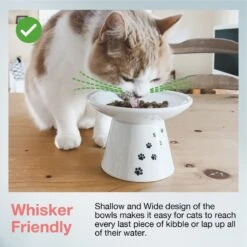 Necoichi Extra Wide Ceramic Elevated Cat Food Bowl, 2-cup -Mewhaus Shop 183502 PT2. AC SS1800 V1698867551