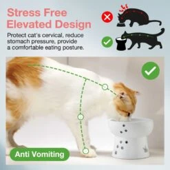 Necoichi Ceramic Elevated Cat Water Bowl -Mewhaus Shop 183505 PT3. AC SS1800 V1627495876