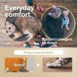 Necoichi Cozy Cat Scratcher Bowl Toy -Mewhaus Shop 183517 PT2. AC SS1800 V1702938888