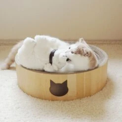 Necoichi Cozy Cat Scratcher Bowl Toy -Mewhaus Shop 183517 PT8. AC SS1800 V1702938859