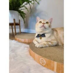 Necoichi Cozy Cat Scratcher Bowl Replacement Pad -Mewhaus Shop 183519 PT5. AC SS1800 V1647460001