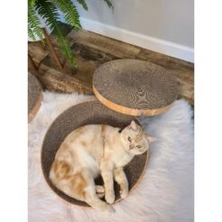 Necoichi Cozy Cat Scratcher Bowl Replacement Pad -Mewhaus Shop 183519 PT7. AC SS1800 V1647460899
