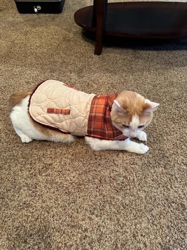 Mewhaus Shop 43 Mewhaus Shop -Mewhaus Shop 186017ec 4258 5cc1 aba4 a941bc6939f1