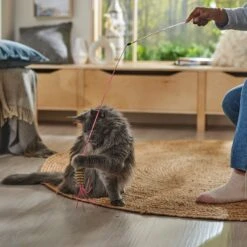 Ethical Pet Leather Strand Teaser Wand Cat Toy, Color Varies -Mewhaus Shop 189288 PT4. AC SS1800 V1682711057