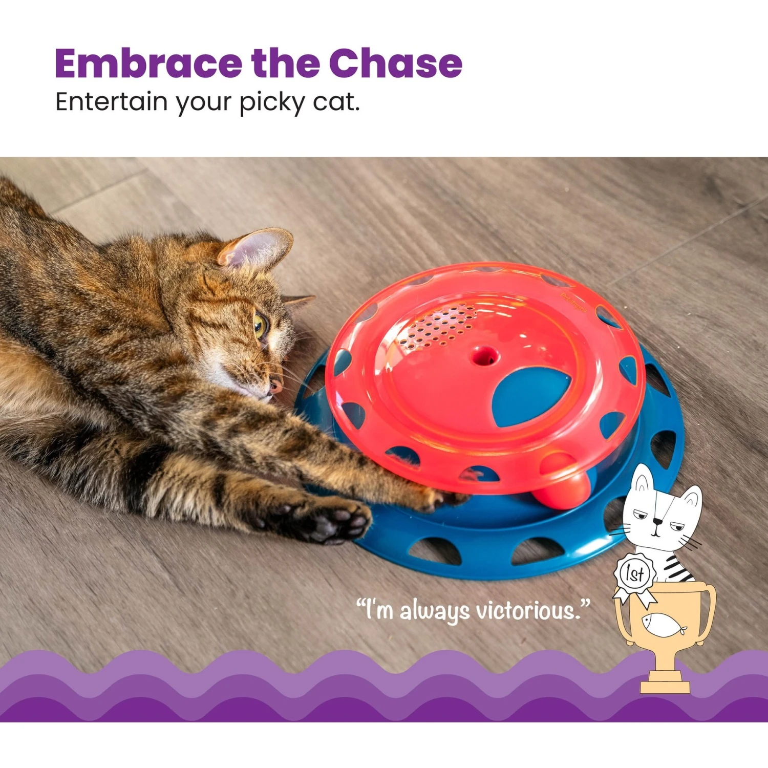 Catstages Chase Track Cat Toy With Catnip 2 Catstages Chase Track Cat Toy With Catnip - Image 2
