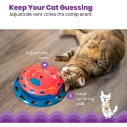 Catstages Chase Track Cat Toy With Catnip 8 Catstages Chase Track Cat Toy With Catnip -Mewhaus Shop 190739 PT3. AC SS1800 V1631687240