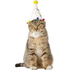 Frisco Confetti Dog & Cat Birthday Hat 8 Frisco Confetti Dog & Cat Birthday Hat -Mewhaus Shop 191274 PT2. AC SS1800 V1582053206