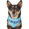 Frisco Pawtriot Dog & Cat Bandana