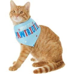 Frisco Pawtriot Dog & Cat Bandana 9 Frisco Pawtriot Dog & Cat Bandana -Mewhaus Shop 191277 PT2. AC SS1800 V1584623825