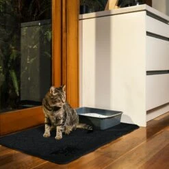 Smiling Paws Pets Cat Litter Mat 12 Smiling Paws Pets Cat Litter Mat -Mewhaus Shop 192204 PT5. AC SS1800 V1565812638