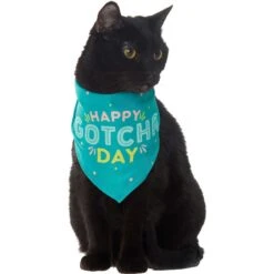 Frisco Happy Gotcha Day Dog & Cat Bandana -Mewhaus Shop 200538 PT2. AC SS1800 V1633057623