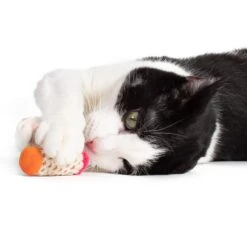 Hauspanther Bamboleos Wine Cork Catnip Chaser Cat Toy -Mewhaus Shop 201268 PT3. AC SS1800 V1569013191