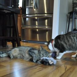 Turbo Catnip Belly Hedgehog Plush Cat Toy With Catnip -Mewhaus Shop 202176 PT3. AC SS1800 V1677960130