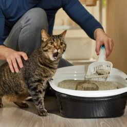 Arm & Hammer Litter Slide Multi-Cat Scented Clumping Clay Cat Litter -Mewhaus Shop 207535 PT3. AC SS1800 V1676491989