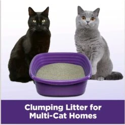 Arm & Hammer Litter Slide Multi-Cat Scented Clumping Clay Cat Litter -Mewhaus Shop 207535 PT5. AC SS1800 V1676491992