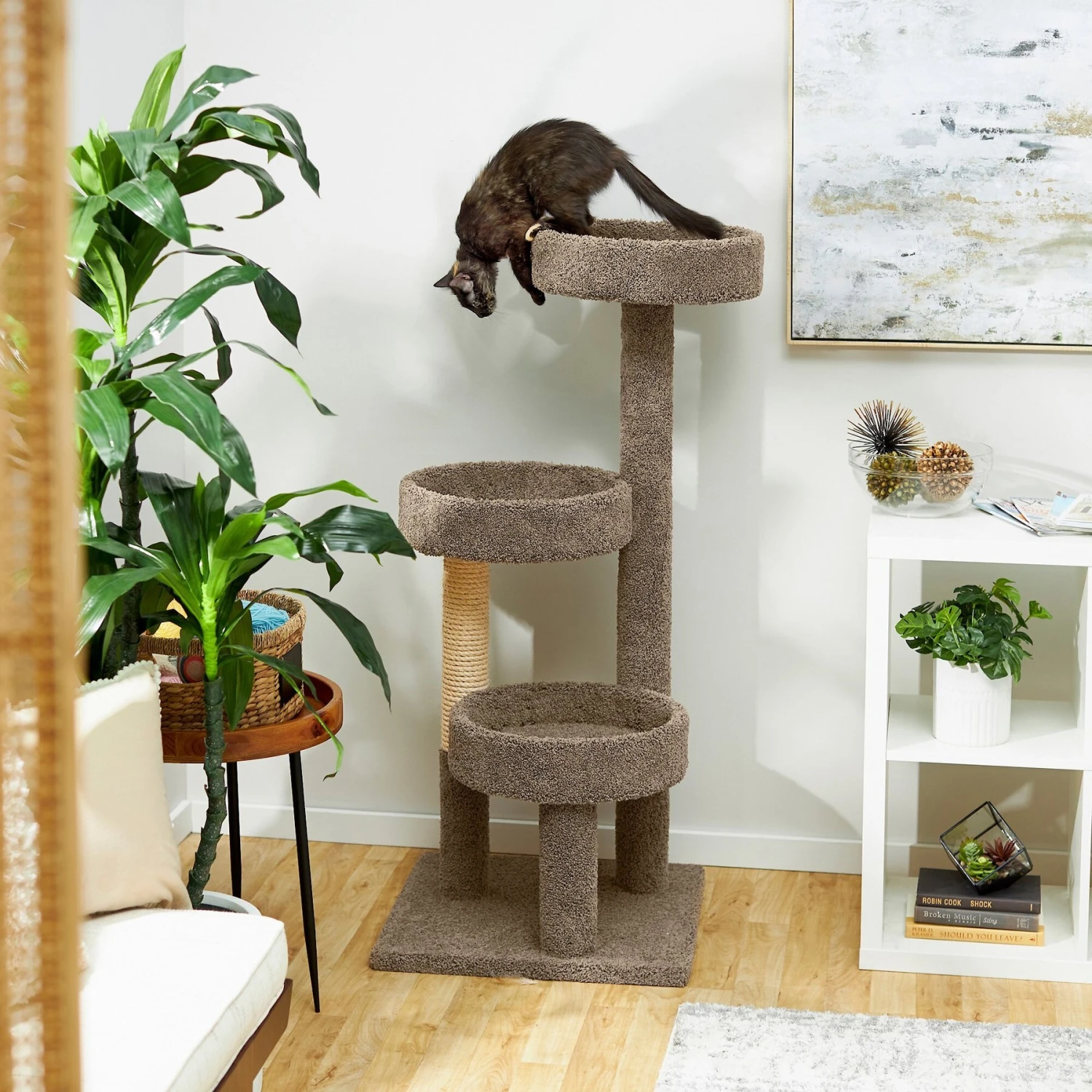 Frisco 50-in Real Carpet Wooden Cat Tree 1 Frisco 50-in Real Carpet Wooden Cat Tree