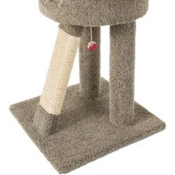 Frisco 24-in Real Carpet Cat Scratching Perch With Toy 7 Frisco 24-in Real Carpet Cat Scratching Perch With Toy -Mewhaus Shop 208960 PT4. AC SS1800 V1589221657