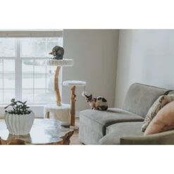 Mau Lifestyle Alba 43-in Modern Wooden Cat Tree & Condo 9 Mau Lifestyle Alba 43-in Modern Wooden Cat Tree & Condo -Mewhaus Shop 211717 PT2. AC SS1800 V1632954678