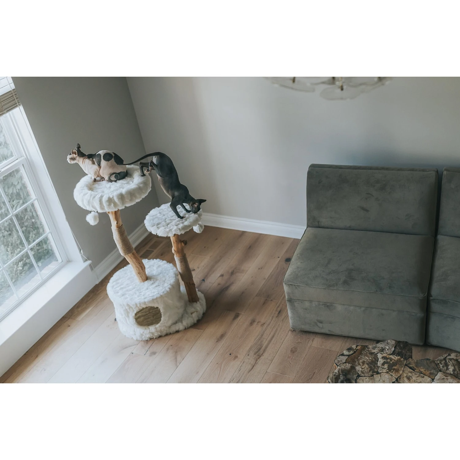 Mau Lifestyle Alba 43-in Modern Wooden Cat Tree & Condo 4 Mau Lifestyle Alba 43-in Modern Wooden Cat Tree & Condo - Image 4