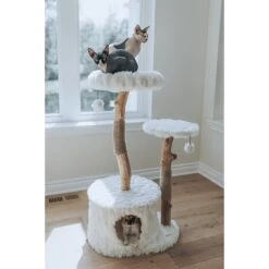 Mau Lifestyle Alba 43-in Modern Wooden Cat Tree & Condo 12 Mau Lifestyle Alba 43-in Modern Wooden Cat Tree & Condo -Mewhaus Shop 211717 PT5. AC SS1800 V1632954718