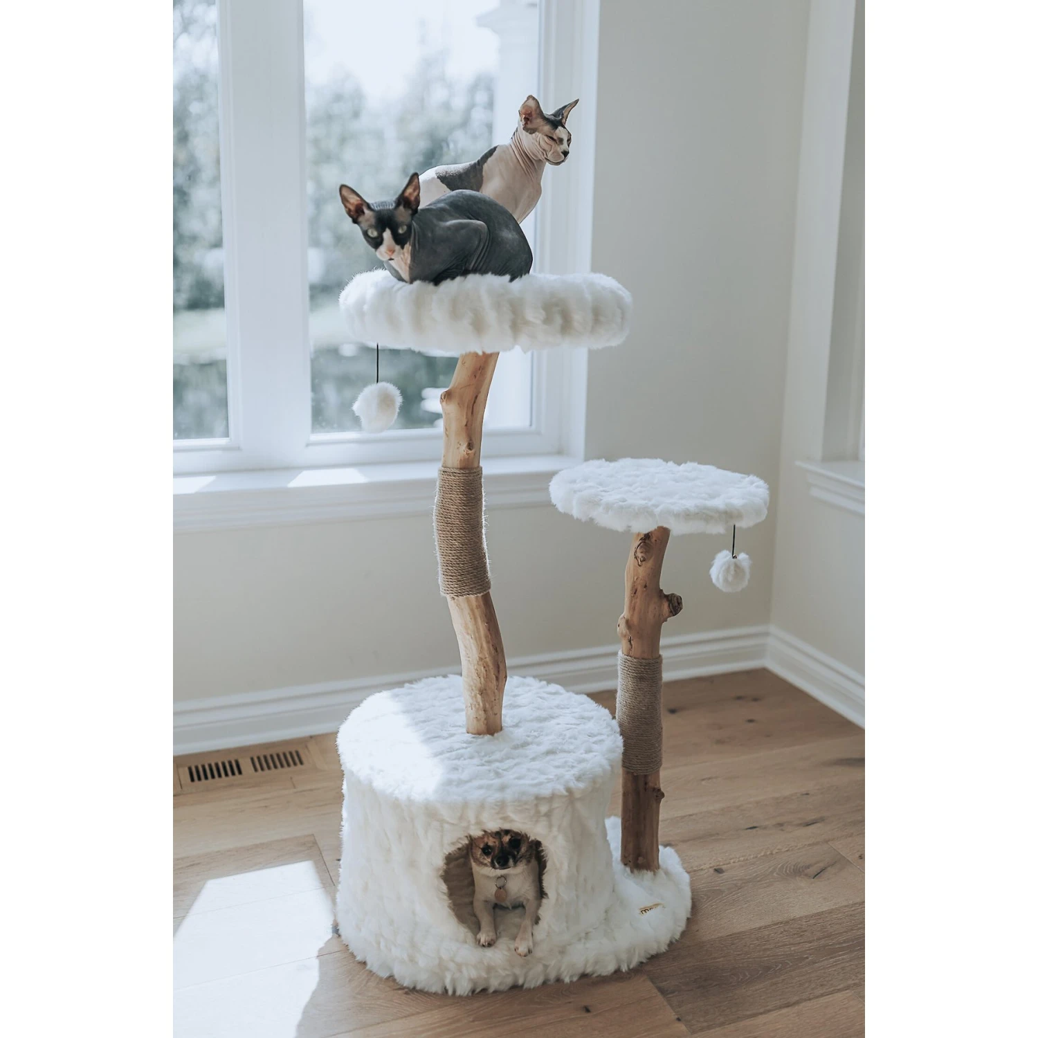 Mau Lifestyle Alba 43-in Modern Wooden Cat Tree & Condo 6 Mau Lifestyle Alba 43-in Modern Wooden Cat Tree & Condo - Image 6