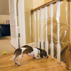 Cardinal Gates Indoor Banister Dog & Cat Shield Protector, Clear -Mewhaus Shop 217345 PT2. AC SS1800 V1628003803