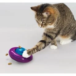 KONG Infused Cat Gyro Cat Toy -Mewhaus Shop 219716 PT2. AC SS1800 V1631773111