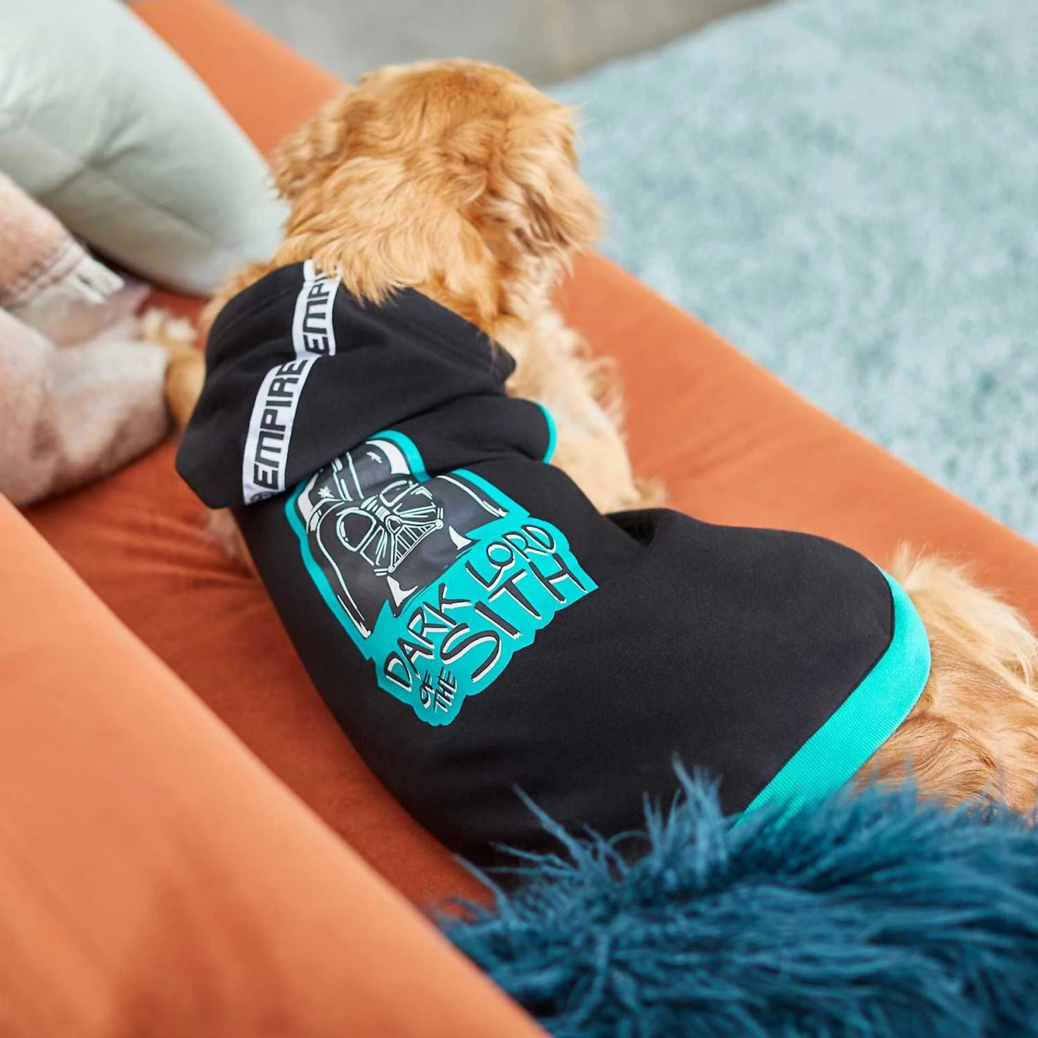 STAR WARS DARTH VADER "Dark Lord Of The Sith" Dog & Cat Hoodie 7 STAR WARS DARTH VADER "Dark Lord Of The Sith" Dog & Cat Hoodie - Image 7