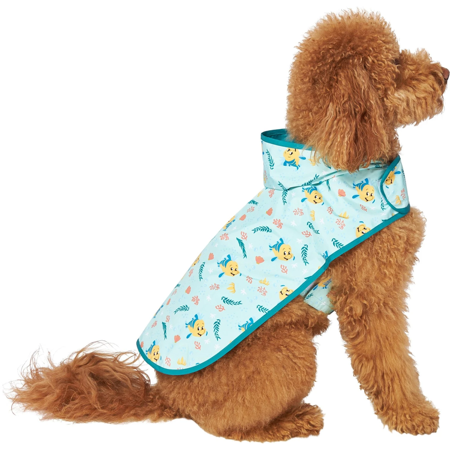 Disney Lightweight Flounder Print Dog & Cat Raincoat 1 Disney Lightweight Flounder Print Dog & Cat Raincoat