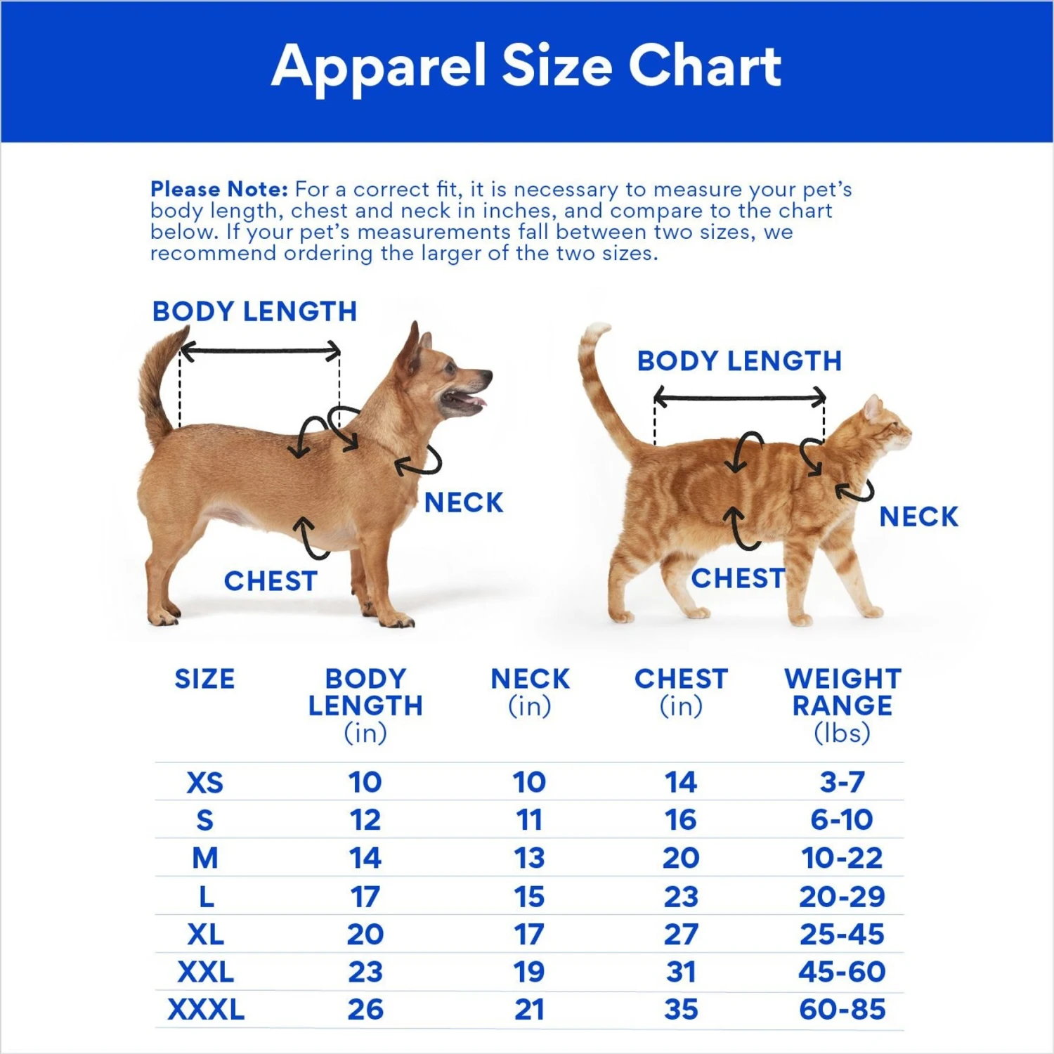 Disney Lightweight Flounder Print Dog & Cat Raincoat 2 Disney Lightweight Flounder Print Dog & Cat Raincoat - Image 2