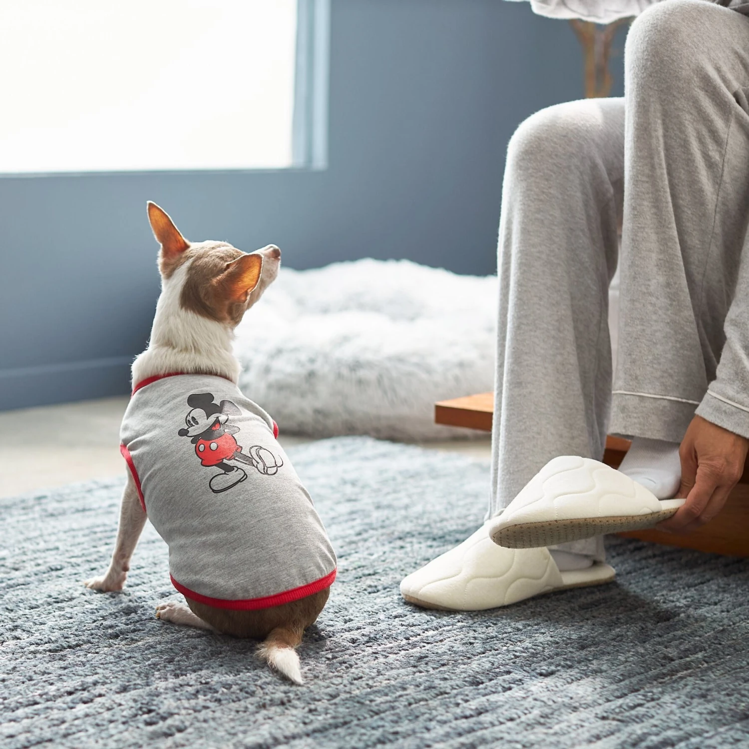 Disney Mickey Mouse Classic Dog & Cat T-shirt 6 Disney Mickey Mouse Classic Dog & Cat T-shirt - Image 6