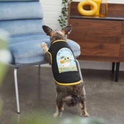 STAR WARS THE MANDALORIAN GROGU "Left Unsupervised" Dog & Cat T-Shirt -Mewhaus Shop 220345 PT8. AC SS1800 V1646175437