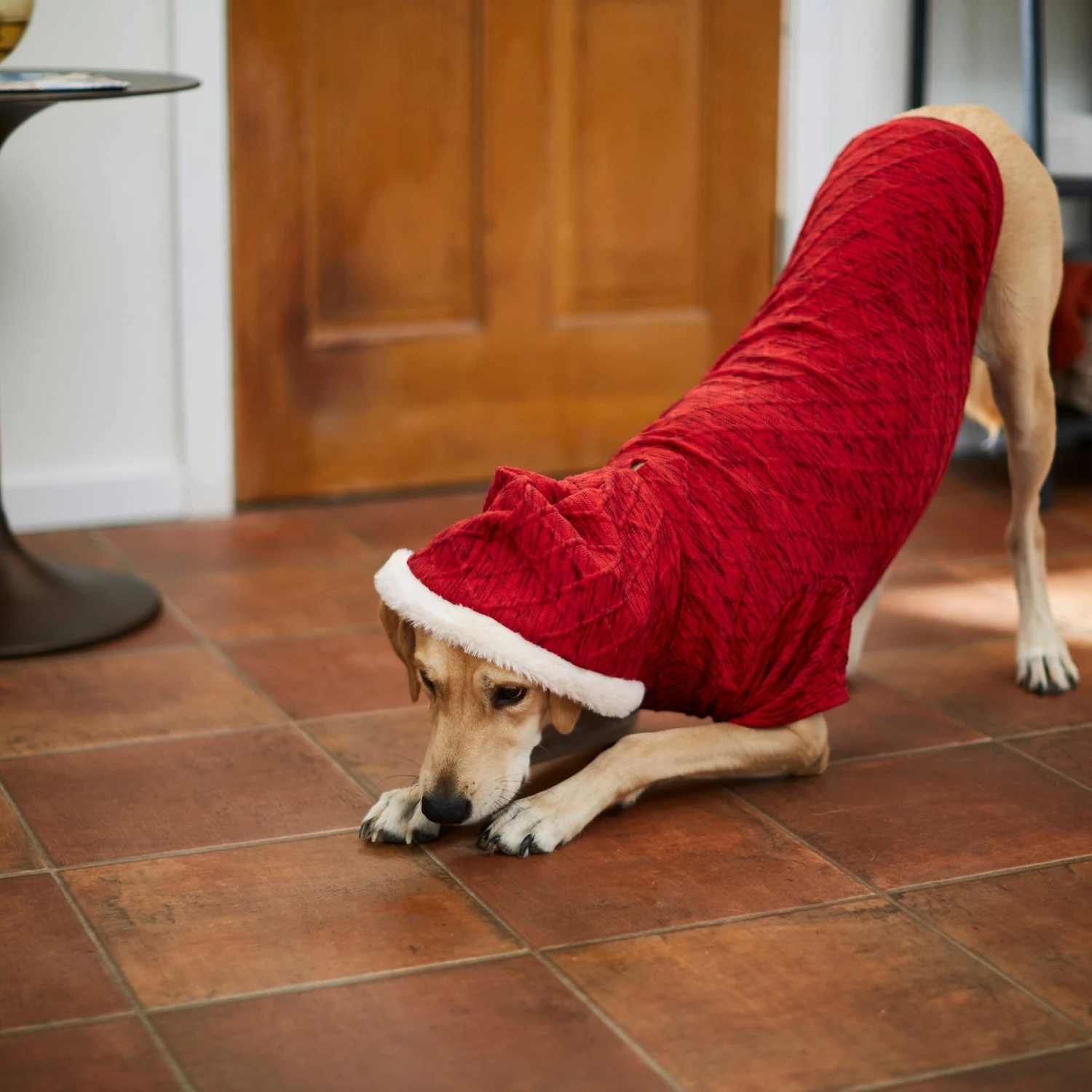 Frisco Textured Knit Dog & Cat Hoodie 8 Frisco Textured Knit Dog & Cat Hoodie - Image 8