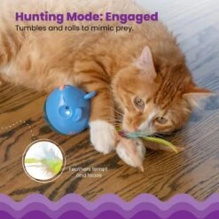 Catstages Hunt 'N Swat Treat Dispenser Cat Toy 9 Catstages Hunt 'N Swat Treat Dispenser Cat Toy -Mewhaus Shop 227094 PT2. AC SS1800 V1636504086