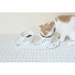 Necoichi Double Dining Tray Set & Elevated Cat Bowls 14 Necoichi Double Dining Tray Set & Elevated Cat Bowls -Mewhaus Shop 230660 PT5. AC SS1800 V1631312470
