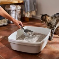 Frisco Lightweight Unscented Clumping Cat Litter -Mewhaus Shop 230716 PT4. AC SS1800 V1659023918