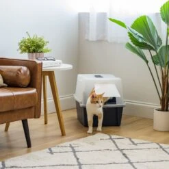 IRIS USA Enclosed With Front Door Flap & Scoop Cat Litter Box -Mewhaus Shop 231660 PT5. AC SS1800 V1680811968