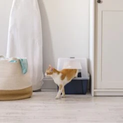 IRIS USA Enclosed With Front Door Flap & Scoop Cat Litter Box -Mewhaus Shop 231660 PT6. AC SS1800 V1680812032