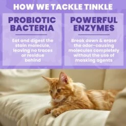 Unique Pet Care Sweet Tangerine Cat Odor + Stain Remover, 24-oz Bottle 13 Unique Pet Care Sweet Tangerine Cat Odor + Stain Remover, 24-oz Bottle -Mewhaus Shop 232913 PT4. AC SS1800 V1700689728