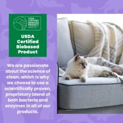 Unique Pet Care Sweet Tangerine Cat Odor + Stain Remover, 24-oz Bottle 15 Unique Pet Care Sweet Tangerine Cat Odor + Stain Remover, 24-oz Bottle -Mewhaus Shop 232913 PT6. AC SS1800 V1700689359