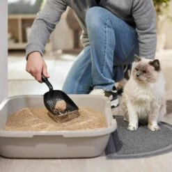 World's Best Multiple Cat Lotus Blossom Scented Clumping Corn Cat Litter -Mewhaus Shop 234881 PT3. AC SS1800 V1589318153