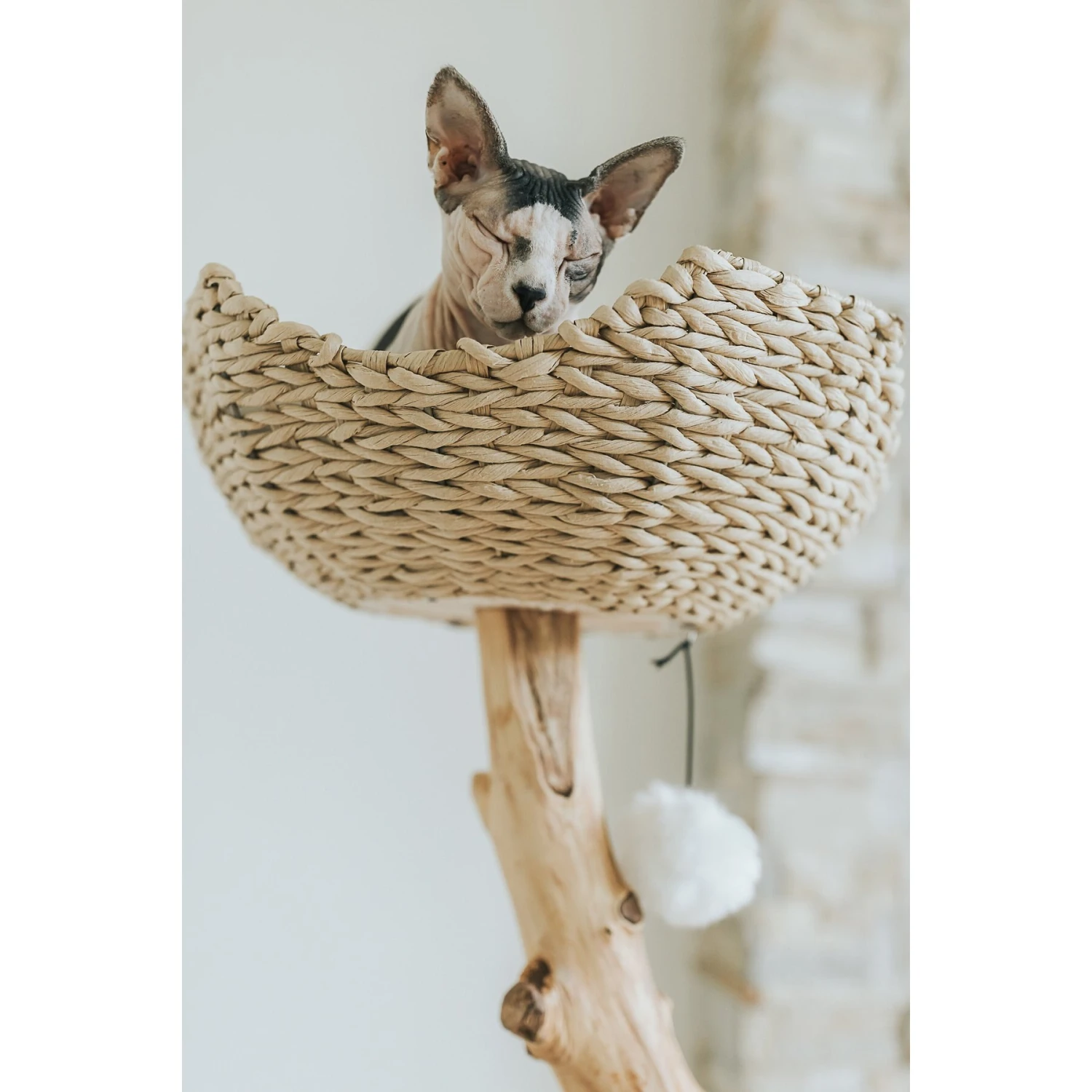 Mau Lifestyle Uni 41-in Faux Fur Basket Bed Cat Tree 6 Mau Lifestyle Uni 41-in Faux Fur Basket Bed Cat Tree - Image 6