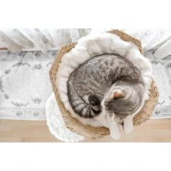 Mau Lifestyle Uni 41-in Faux Fur Basket Bed Cat Tree 16 Mau Lifestyle Uni 41-in Faux Fur Basket Bed Cat Tree -Mewhaus Shop 235558 PT7. AC SS1800 V1632781669