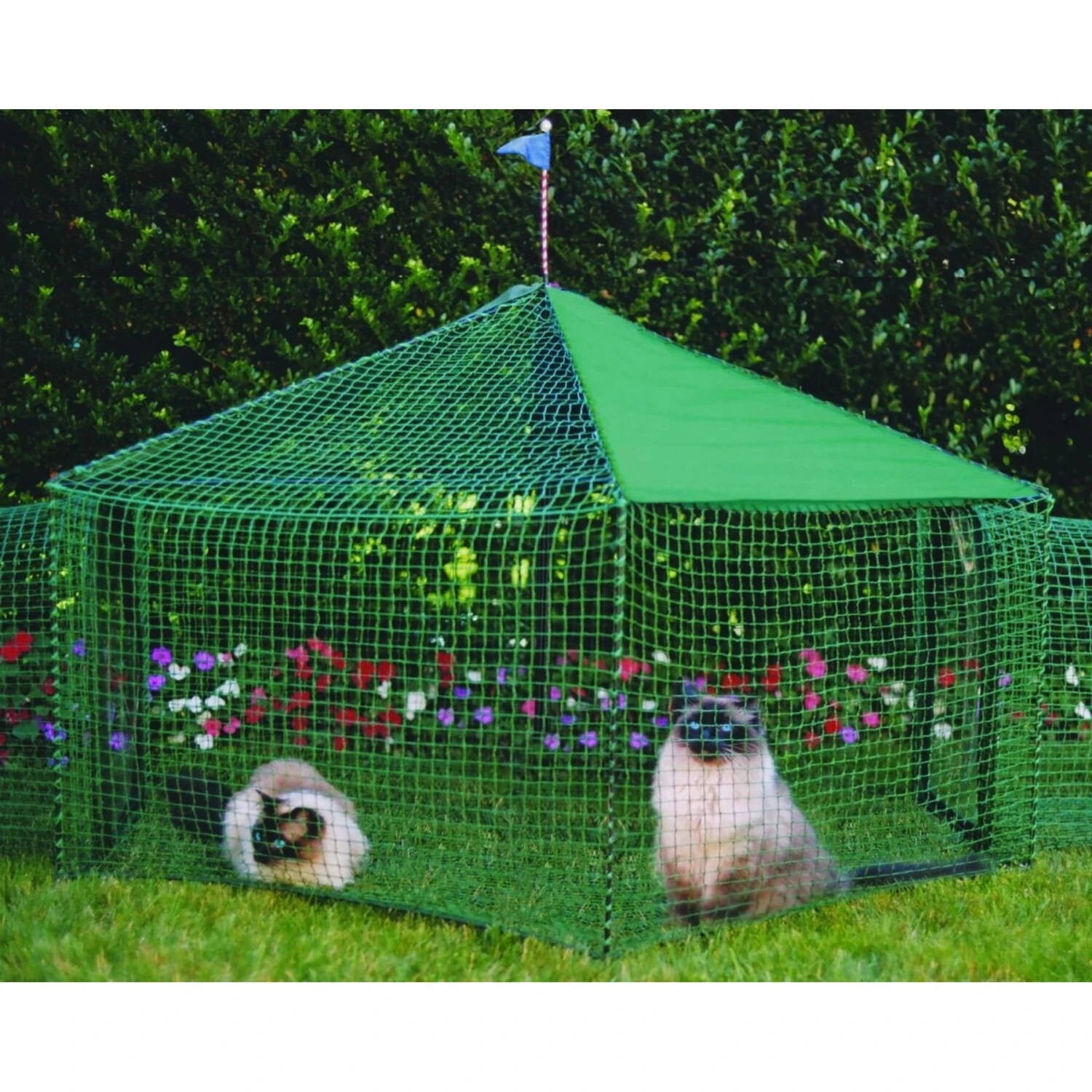 Kittywalk Gazebo Yard & Garden Outdoor Cat Playpen 2 Kittywalk Gazebo Yard & Garden Outdoor Cat Playpen - Image 2