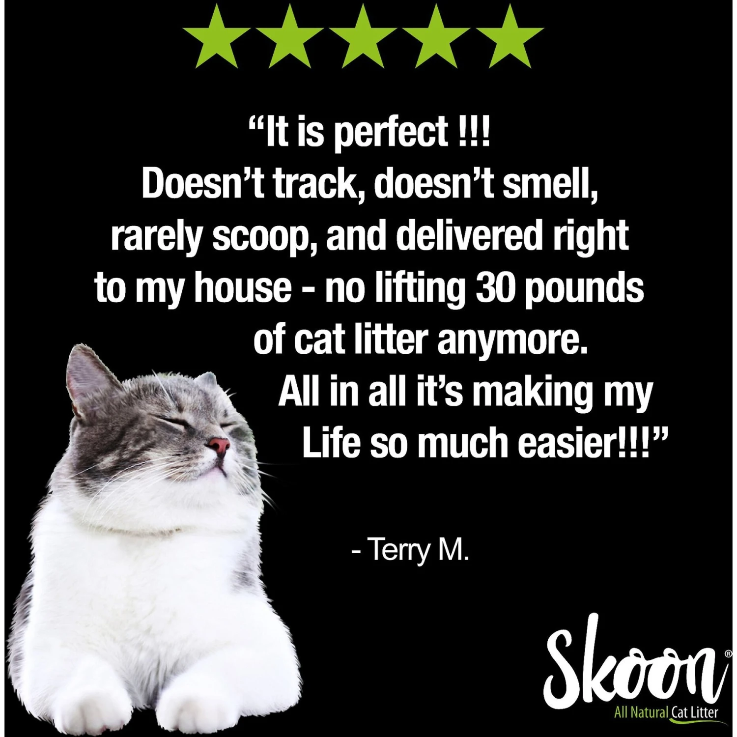 Skoon Unscented Non-Clumping Cat Litter & Disposable Litter Box 4 Skoon Unscented Non-Clumping Cat Litter & Disposable Litter Box - Image 4