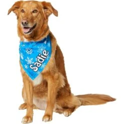 Frisco Blue Snowflakes Personalized Dog & Cat Bandana 14 Frisco Blue Snowflakes Personalized Dog & Cat Bandana -Mewhaus Shop 242803 PT6. AC SS1800 V1618511278